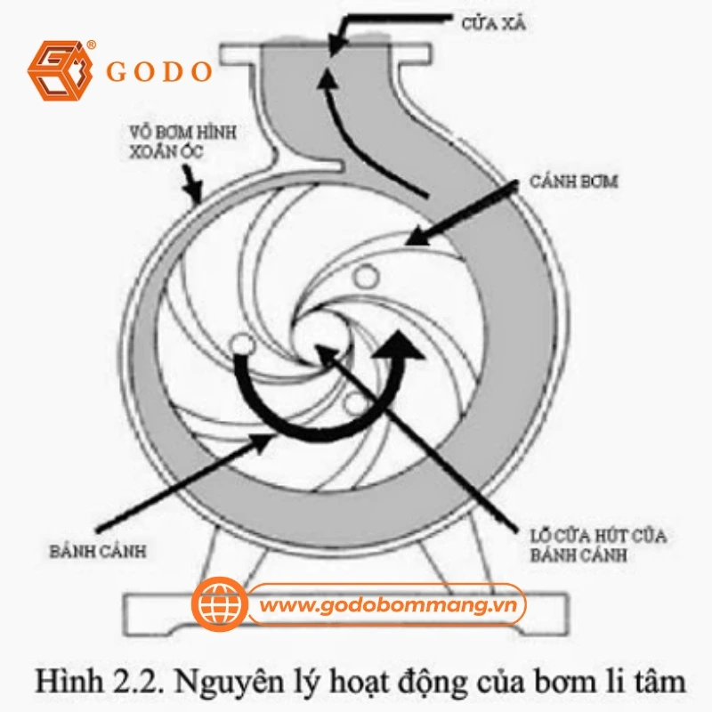 bơm màng khí nén và bơm ly tâm