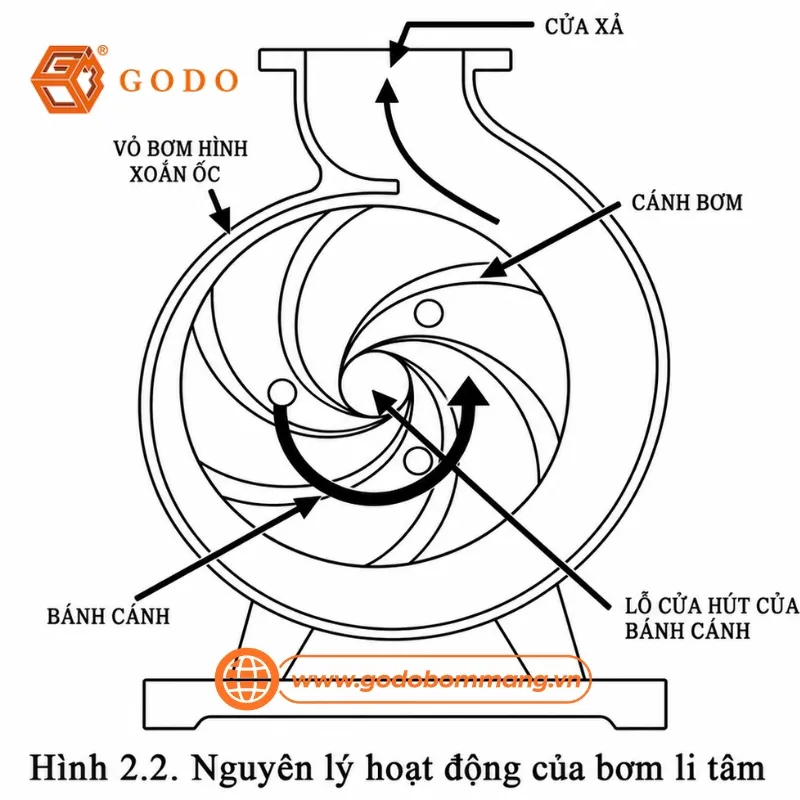 bơm màng khí nén và bơm ly tâm