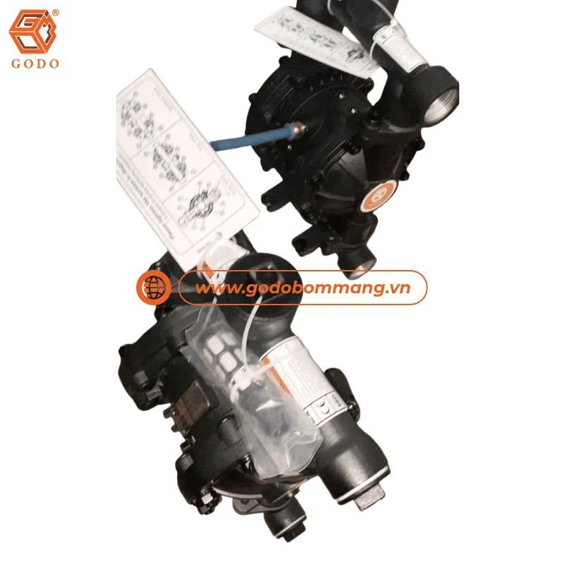 Màng bơm PTFE trên bơm khí nén GODO QBY3-25LFFF