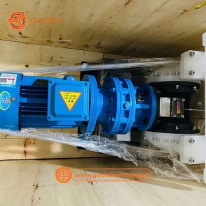 Bơm màng hóa chất chính hãng GODO DBY3-40STFF